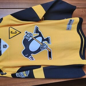 Penguins Crosby Jersey Stadium Series 2017
